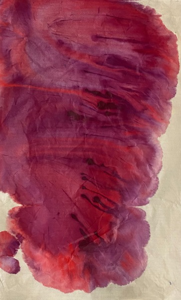 4C-02