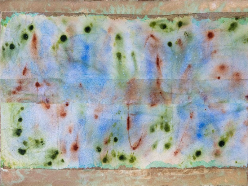 Panel-of-6-3